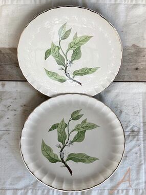 MidCentury W.S. George Bolero Green Valley Gray Flowers 10” Dinner Plates Set